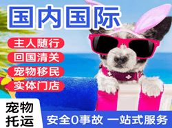 湘西边城航空货运国际宠物托运 【国